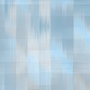 WPIN 0061