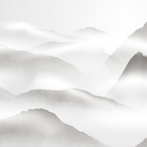 WPN 0071