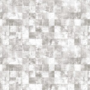 WPTX 00124