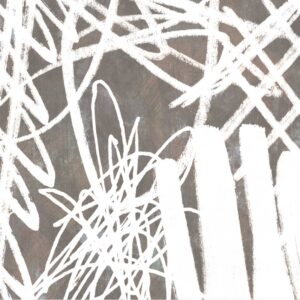 WPTX 0016